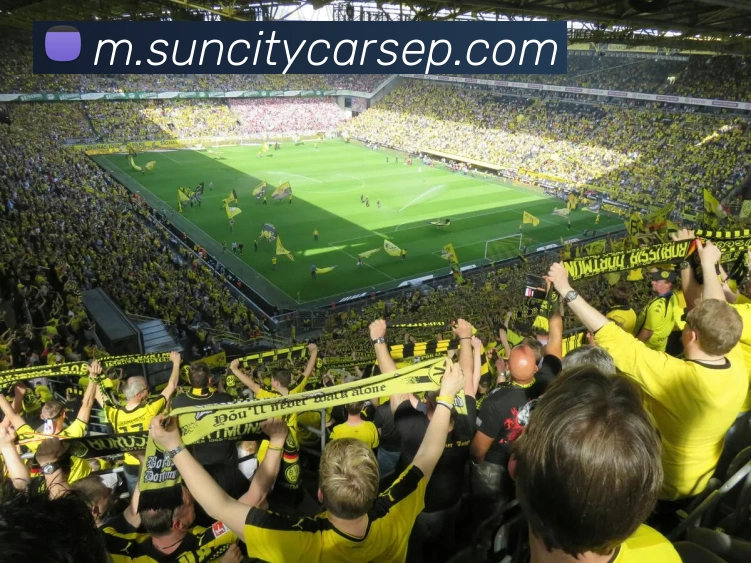 App Interface Preview